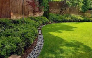 tham co trong canh quan