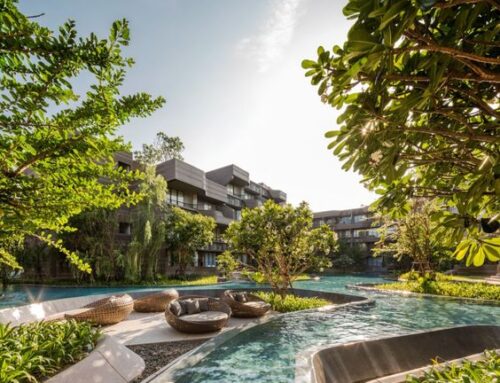 BẢO DƯỠNG CÂY XANH CHO RESORT – GIẢI PHÁP HOÀN HẢO TRƯỚC MÙA KHÔ