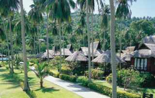 cong ty thi cong mang xanh resort