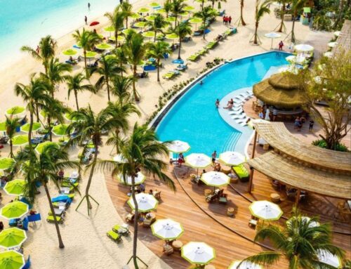 NHỮNG LOẠI CÂY XANH PHÙ HỢP TRỒNG Ở CÁC RESORT VEN BIỂN