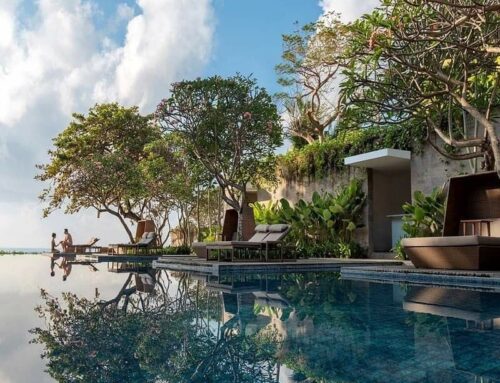 NHỮNG LOẠI CÂY XANH PHÙ HỢP TRỒNG Ở CÁC RESORT VEN BIỂN
