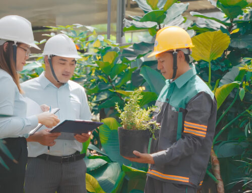 UPC TRỞ THÀNH HỘI VIÊN SACA – KHẲNG ĐỊNH UY TÍN & CHẤT LƯỢNG TRONG LĨNH VỰC CẢNH QUAN