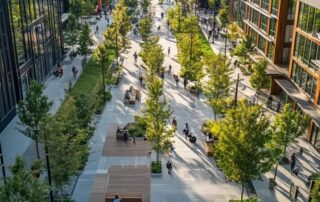 Urban Landscape enhancing real estate value