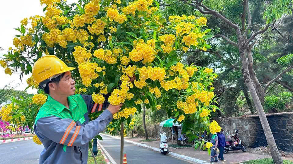 upc-va-su-menh-bat-tan-voi-dai-lua-thuy-van-vung-tau