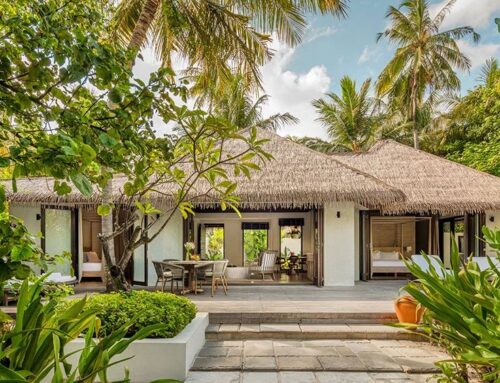 CÂY BẢN ĐỊA NGÀY CÀNG ĐƯỢC ƯA CHUỘNG TRONG RESORT SINH THÁI