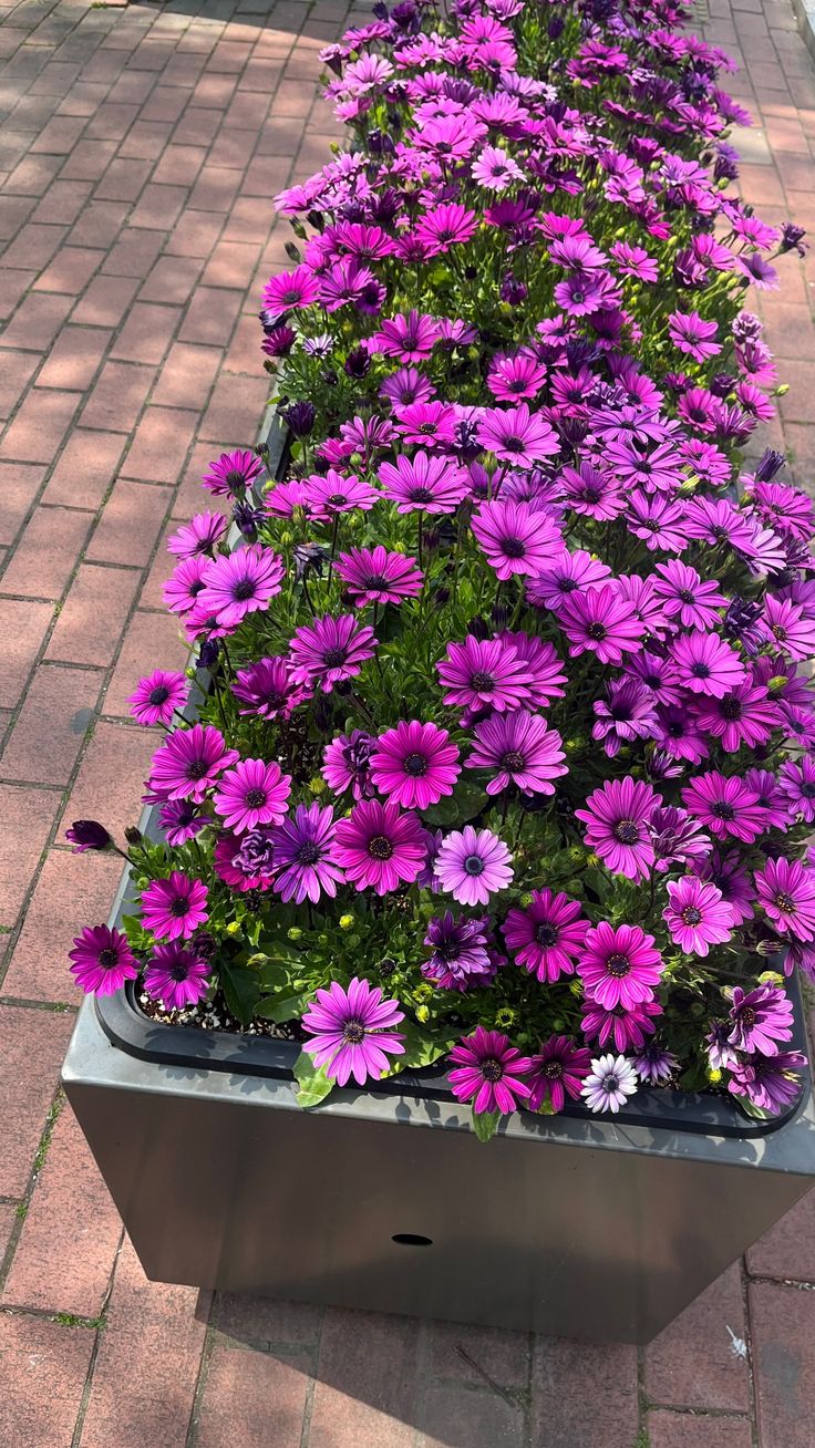 thay-hoa-trong-co-dam-cay-khu-cong-nghiep