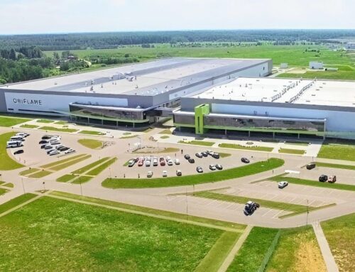 THAY HOA TRỒNG CỎ DẶM CÂY KHU CÔNG NGHIỆP – GIẢI PHÁP LÀM MỚI CẢNH QUAN ĐÓN TẾT 