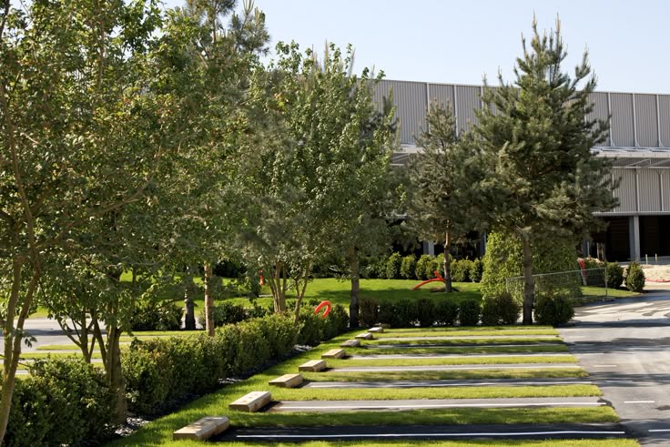 thay-hoa-trong-co-dam-cay-khu-cong-nghiep