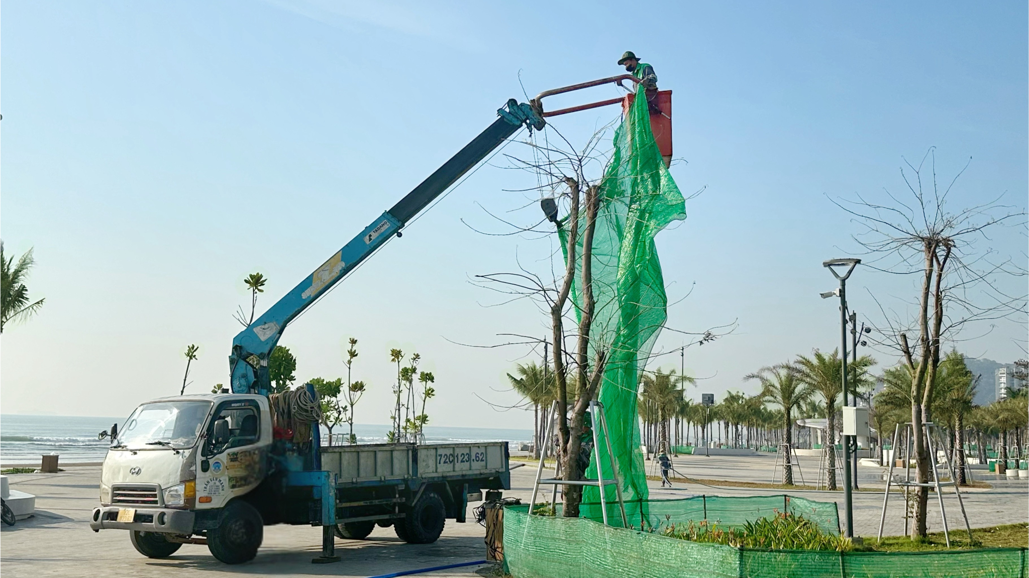 rao bao cay xanh cong vien thuy van