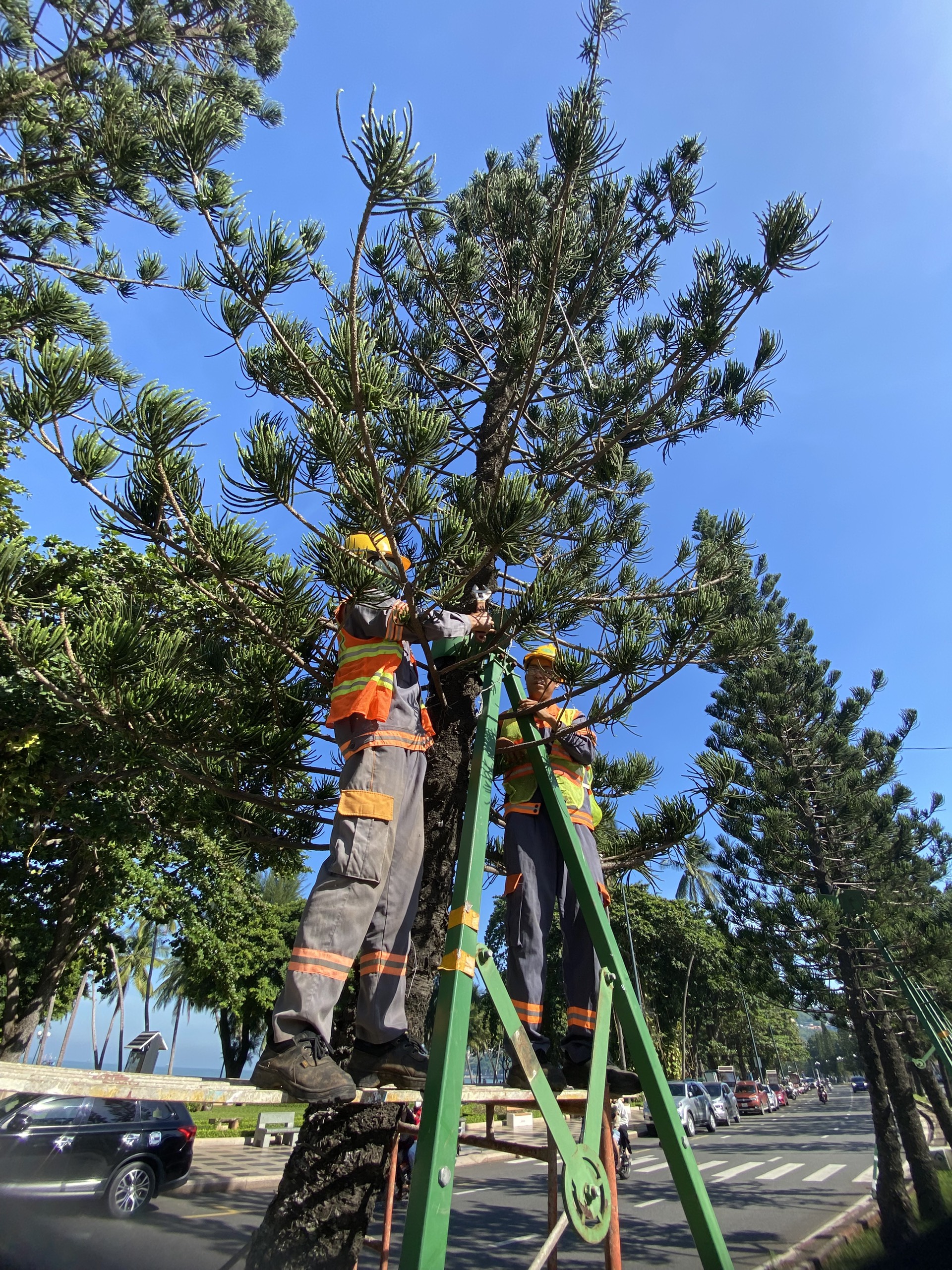bo coc chong cay di dong