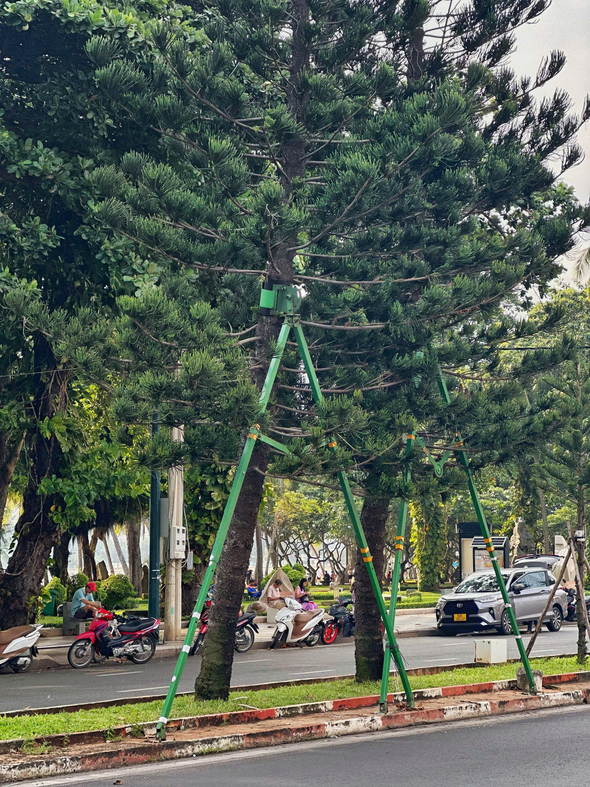 bo coc chong cay di dong