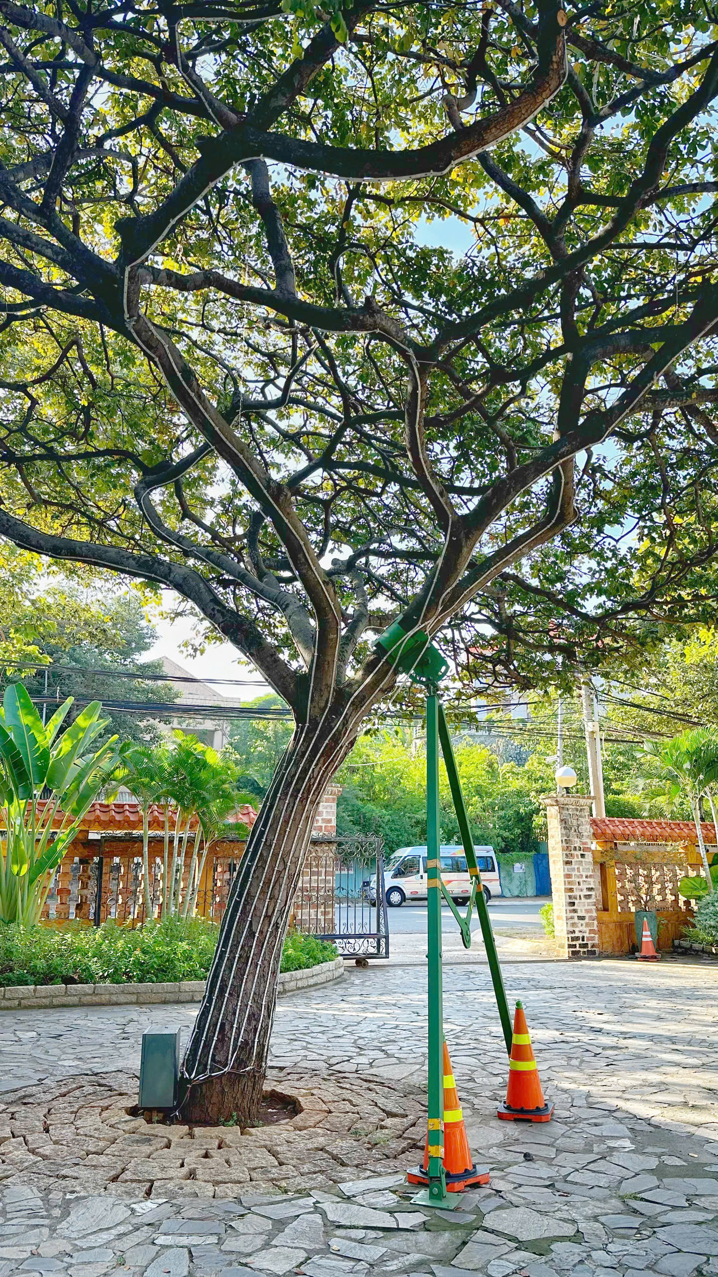 bo coc chong cay di dong