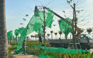 rao bao cay xanh cong vien thuy van