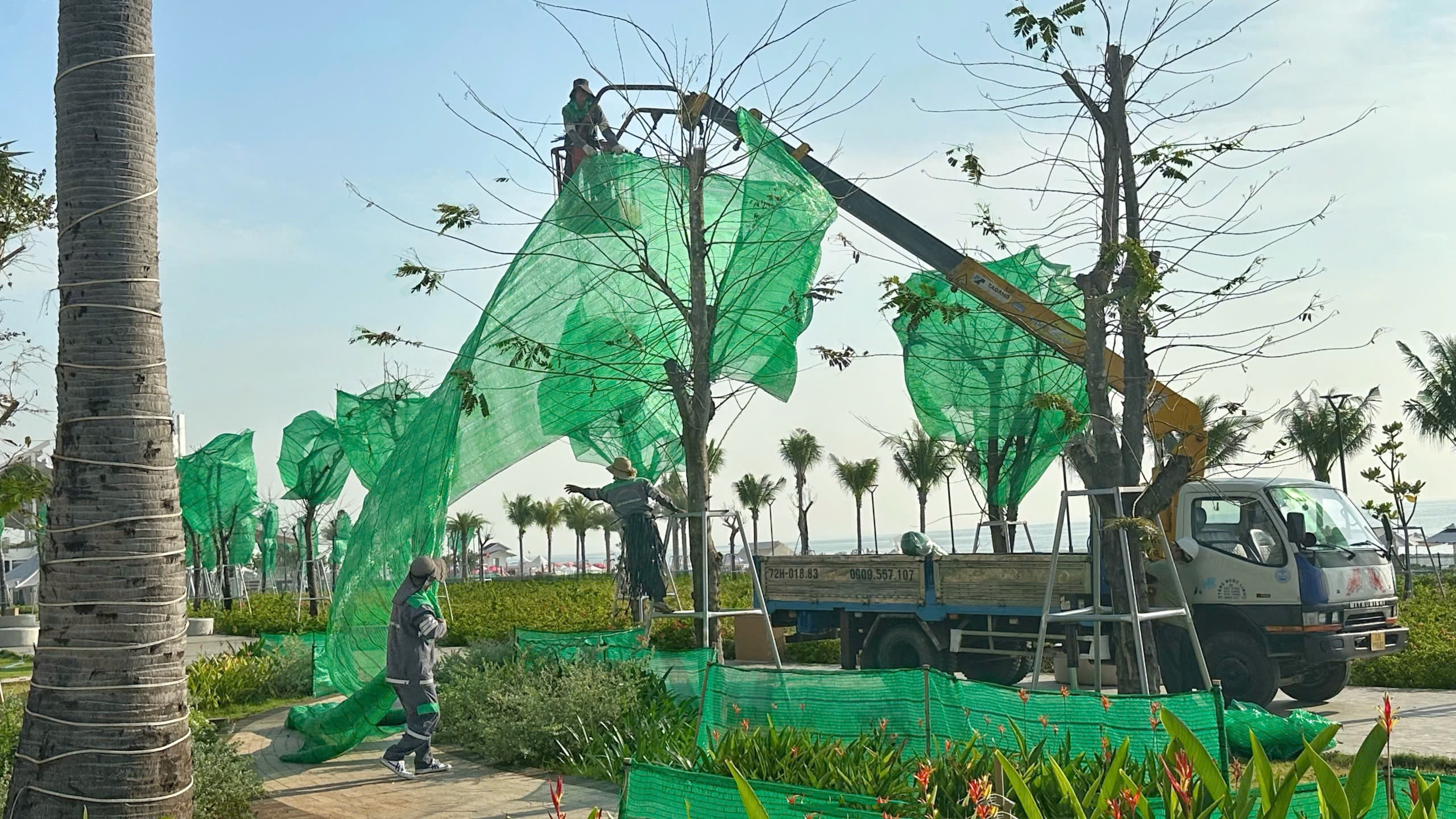 rao bao cay xanh cong vien thuy van