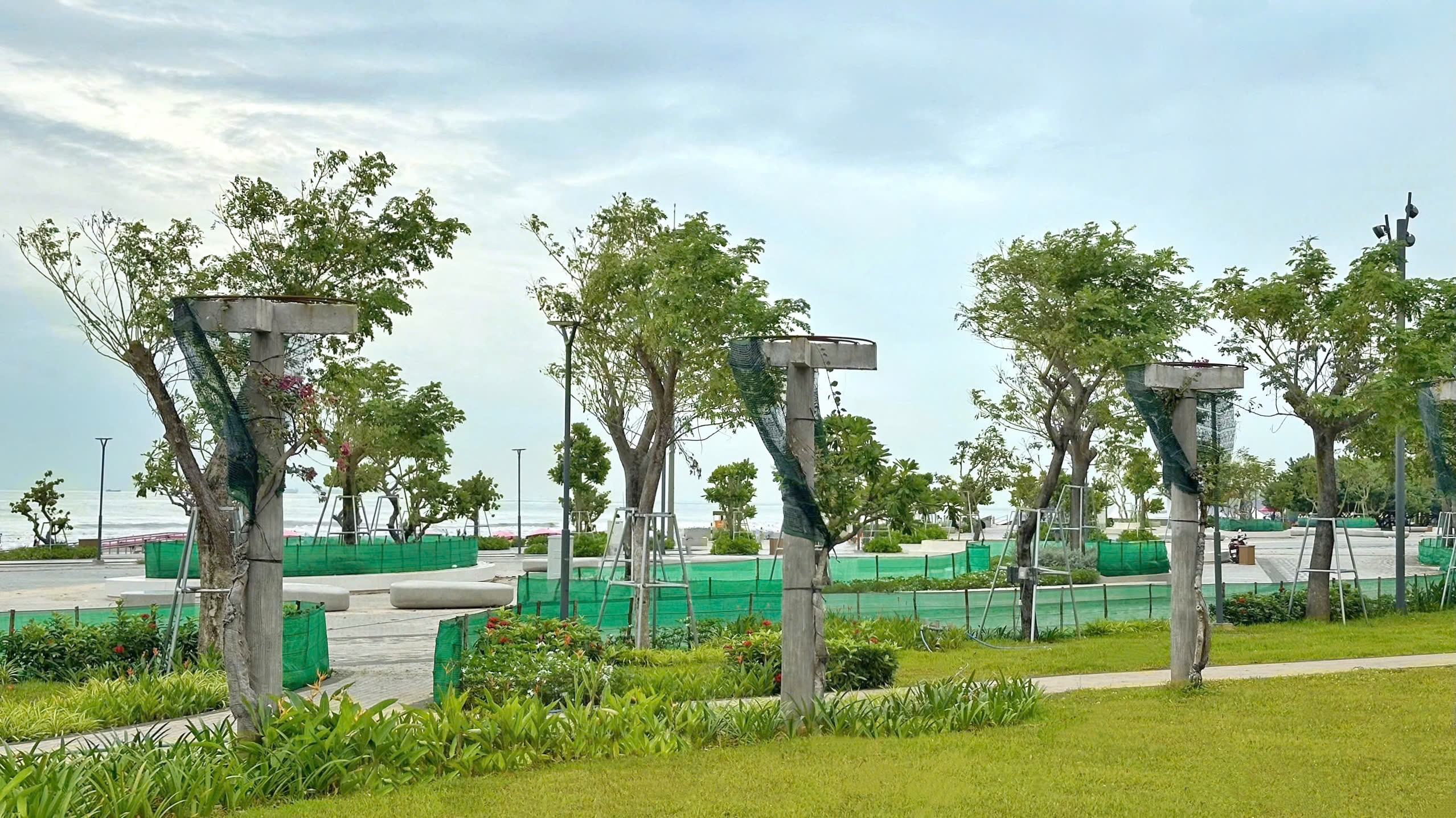 rao bao cay xanh cong vien thuy van