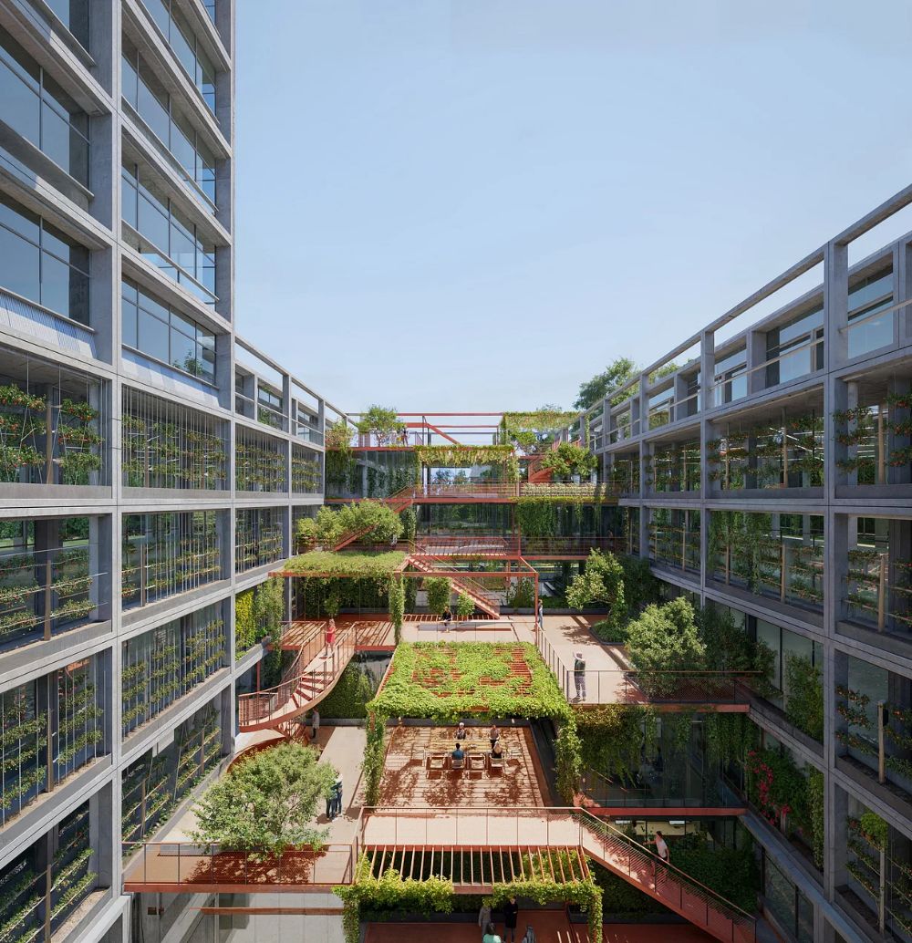 7 loai cay duoc trong nhieu nhat tai cac khu cong nghiep