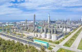 7 loai cay trong nhieu nhat khu cong nghiep