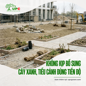 giai phap canh quan tron goi thiet ke thi cong bao duong cho nha thau xay dung