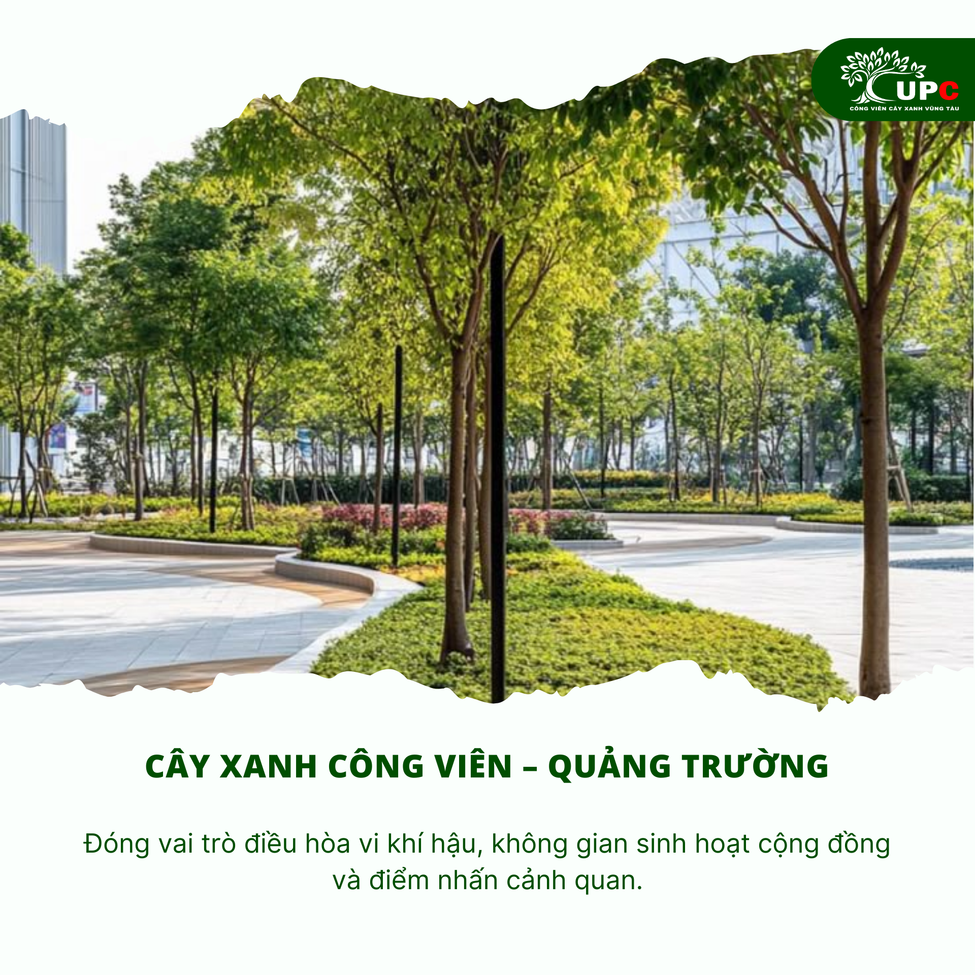 5 hang muc cay xanh bat buoc phai co trong ke hoach cong trinh do thi