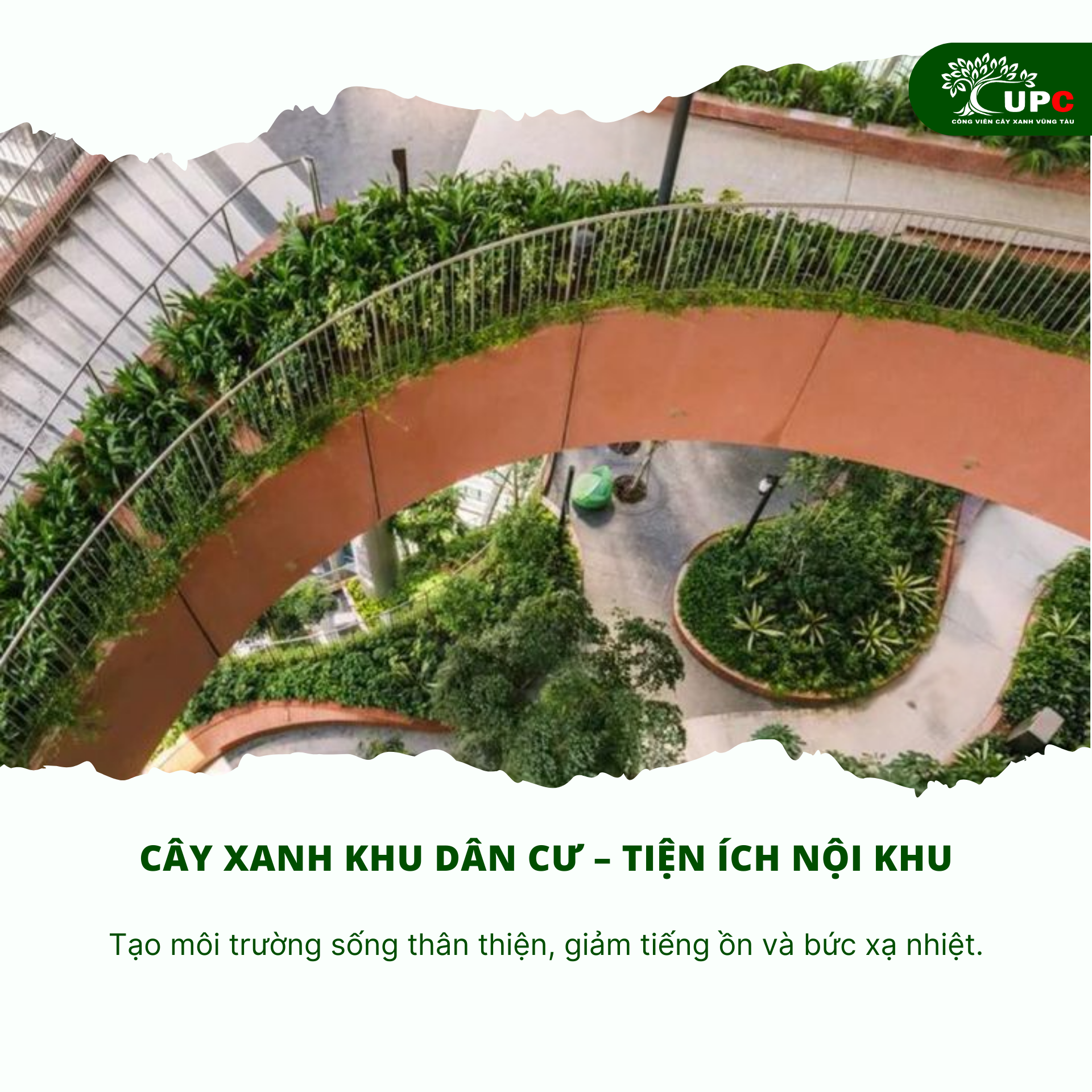 5 hang muc cay xanh bat buoc phai co trong ke hoach cong trinh do thi