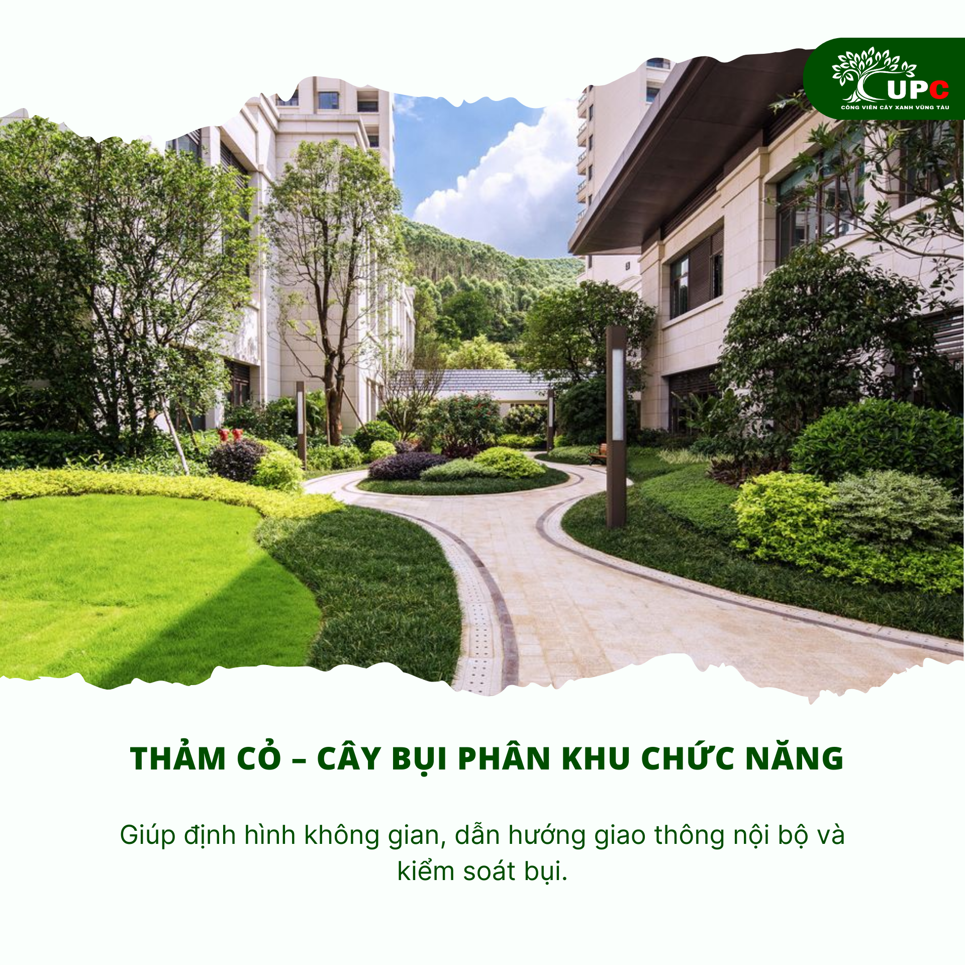 5 hang muc cay xanh bat buoc phai co trong ke hoach cong trinh do thi