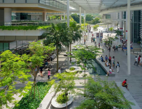 5 HẠNG MỤC CÂY XANH CẦN CÓ TRONG KẾ HOẠCH CÔNG TRÌNH KHU ĐÔ THỊ