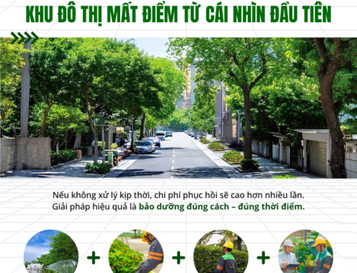 LÀM SAO ĐỂ DUY TRÌ CẢNH QUAN KHU ĐÔ THỊ LUÔN XANH ĐẸP, TIẾT KIỆM CHI PHÍ?