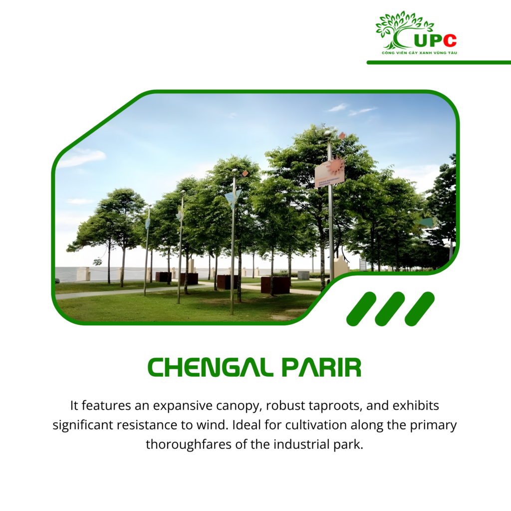 7 best industrial park trees