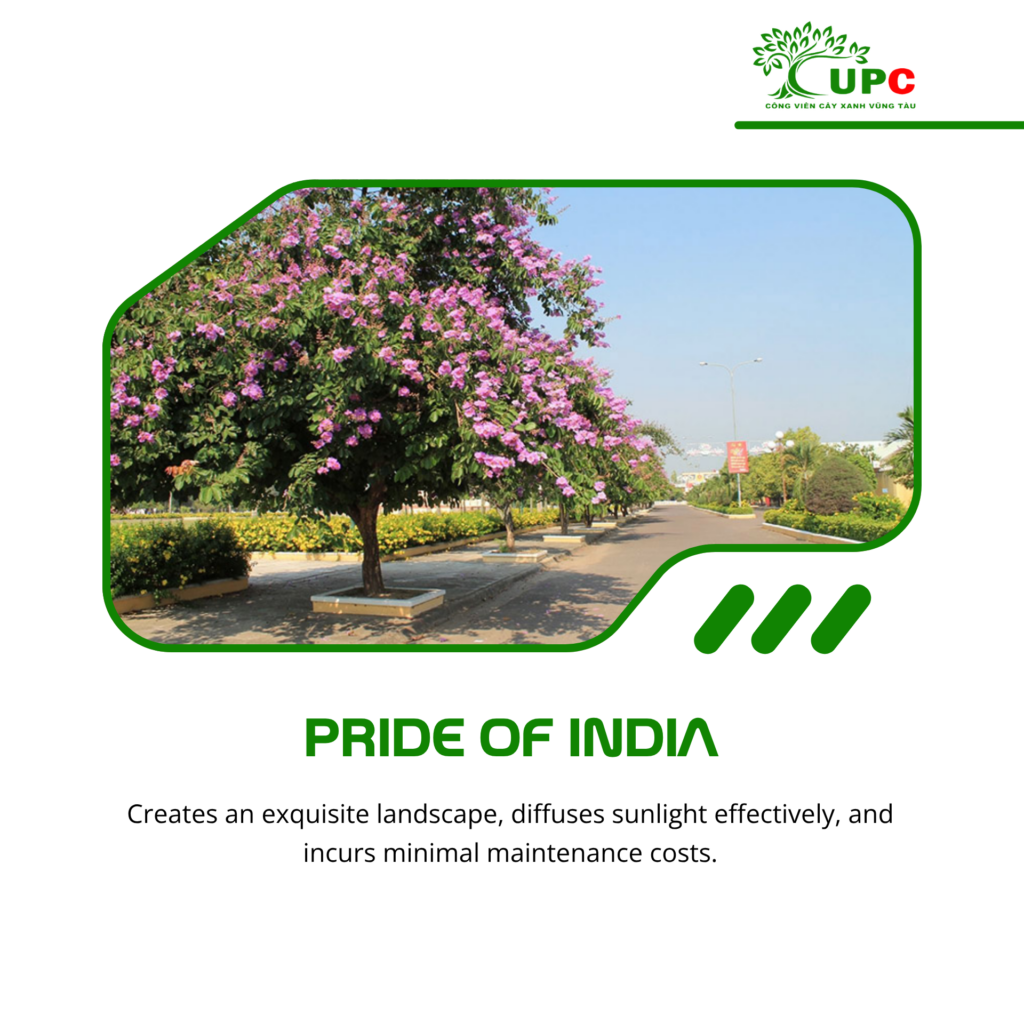 7 best industrial park trees