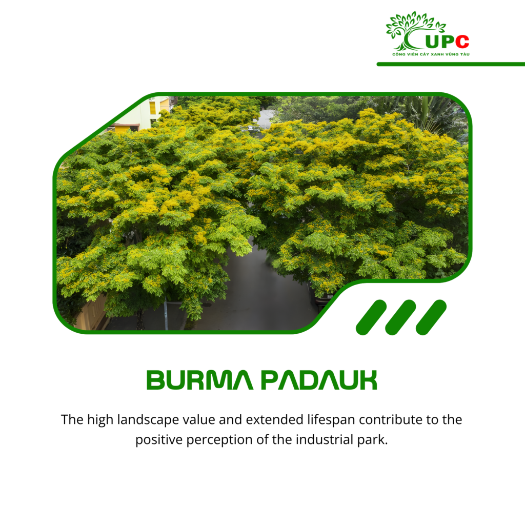 7 best industrial park trees