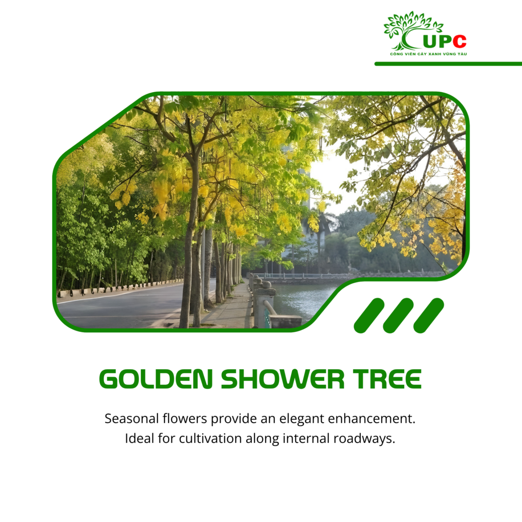 7 best industrial park trees