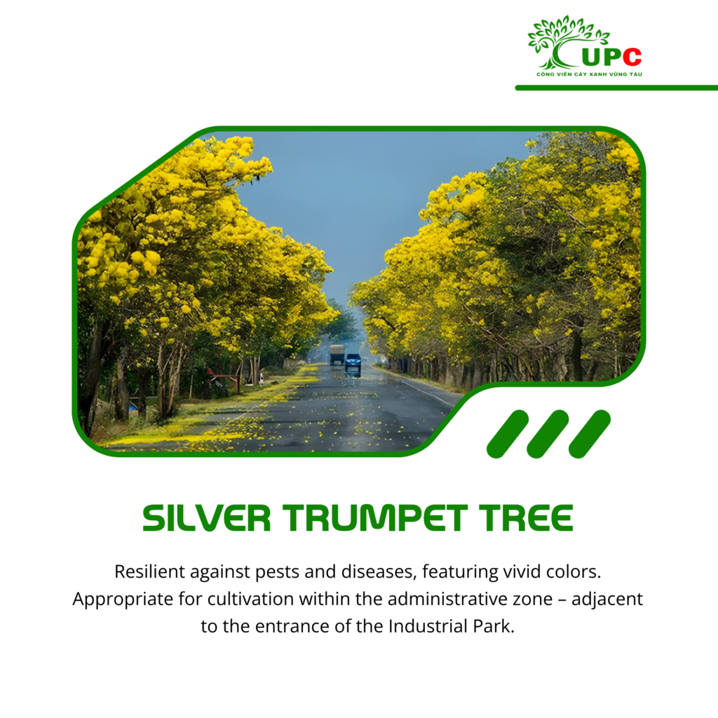 7 best industrial park trees