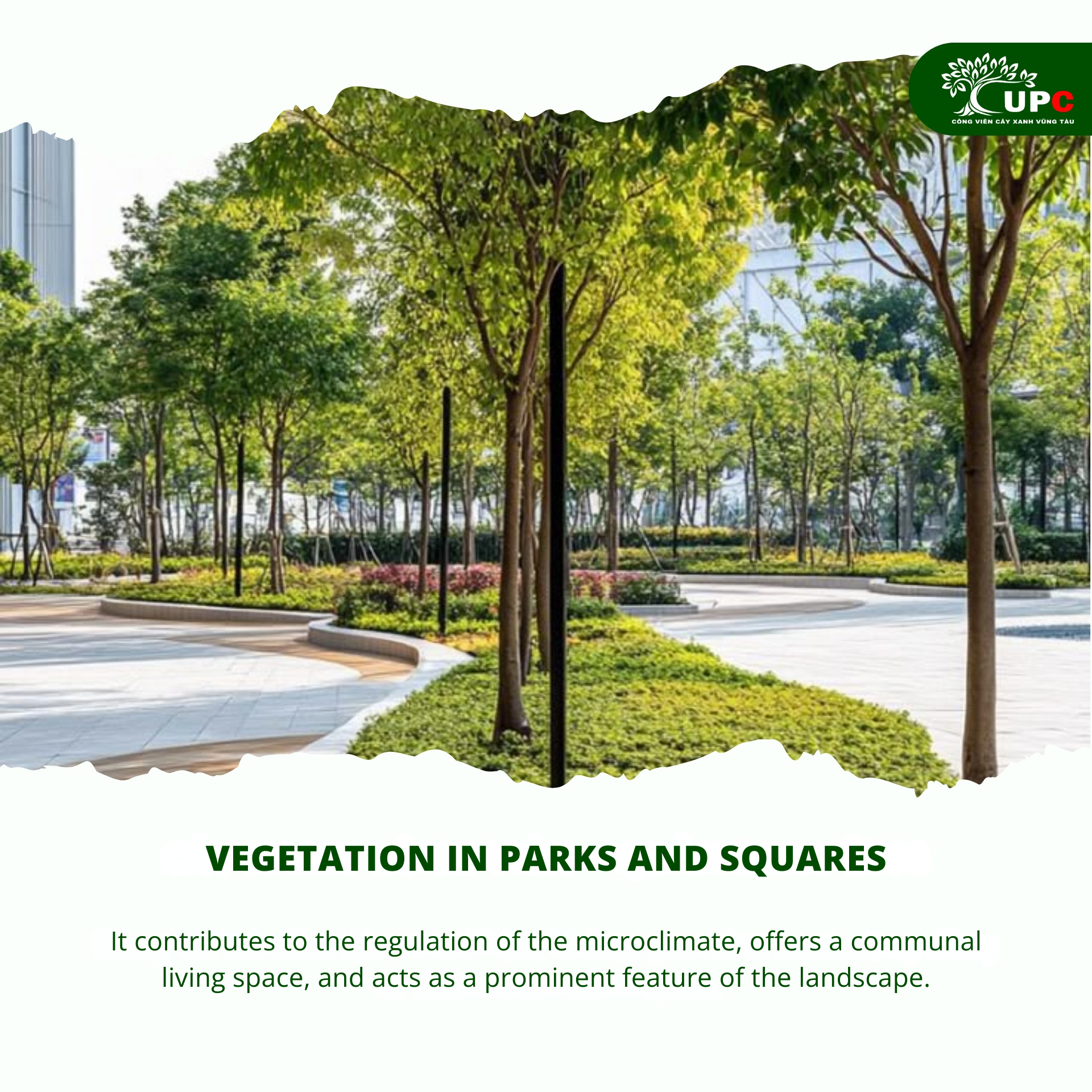 5 Green Infrastructure Categories for Urban Development Projects