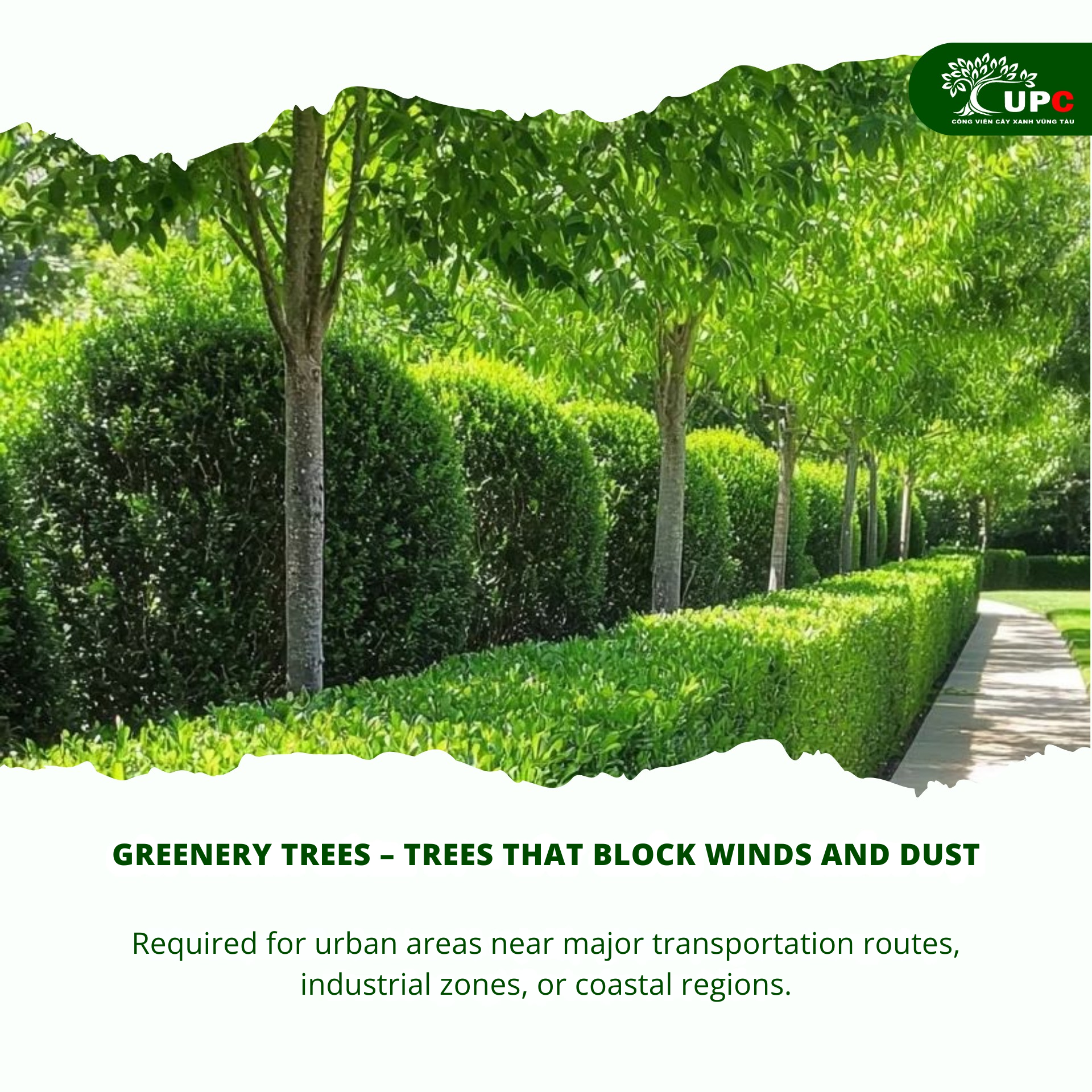 5 Green Infrastructure Categories for Urban Development Projects